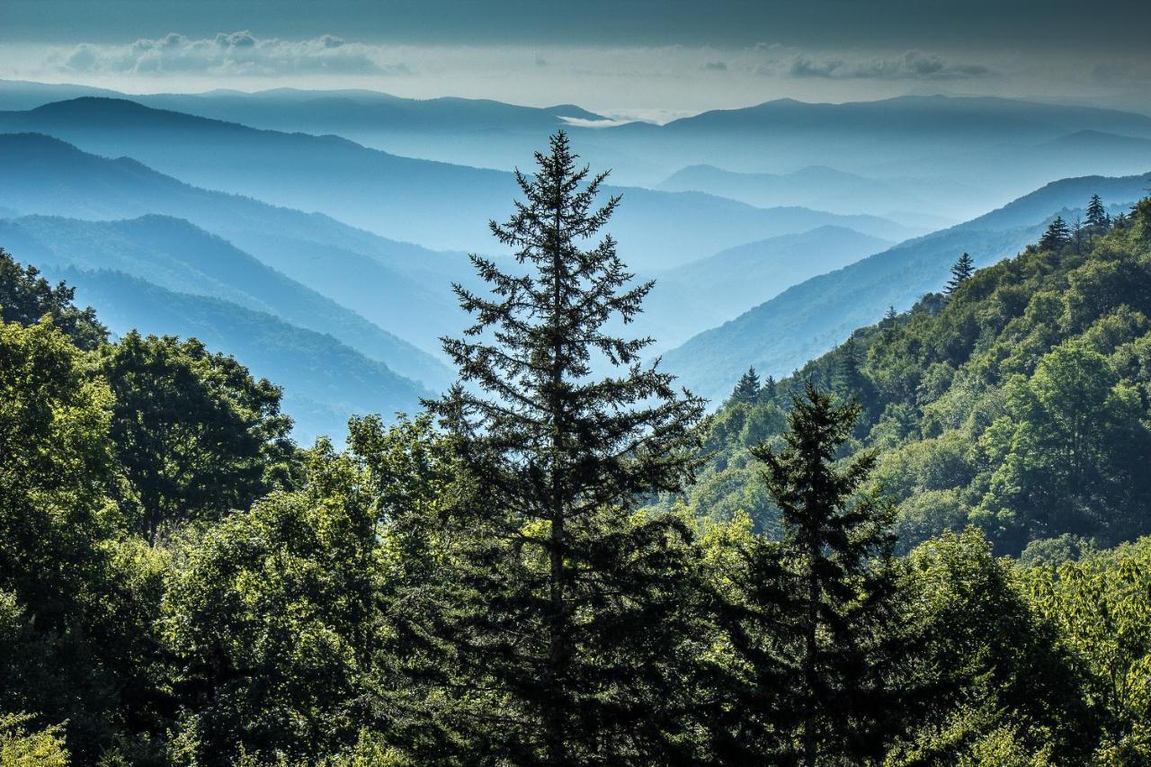 Lazy Bear Den Vila Sevierville Exterior foto