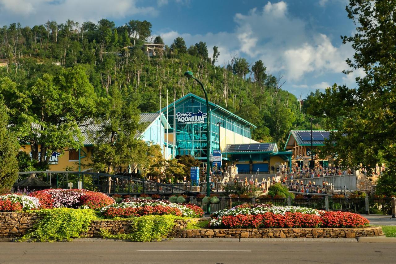 Lazy Bear Den Vila Sevierville Exterior foto